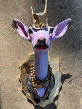 Load image into Gallery viewer, Suni, Antelope Taxidermy Sculpture