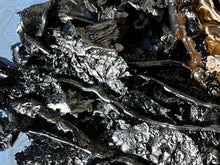 Load image into Gallery viewer, Screech Baby, owl