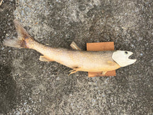 Load image into Gallery viewer, Madame Meriweather, fish