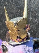 Load image into Gallery viewer, Suni, Antelope Taxidermy Sculpture