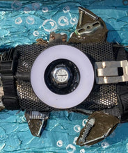 Load image into Gallery viewer, Pembleton the Shark