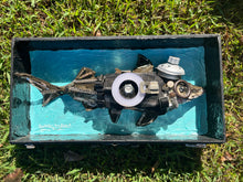 Load image into Gallery viewer, Pembleton the Shark