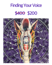 Load image into Gallery viewer, Finding Your Voice, larynx, voice, throat
