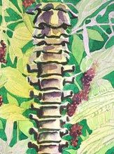 Load image into Gallery viewer, Courage, spine, backbone