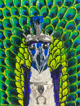 Load image into Gallery viewer, Prince Peacock