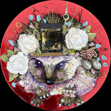 Load image into Gallery viewer, The Hedgehog