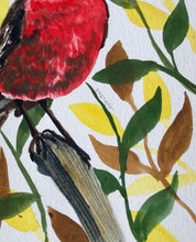 Load image into Gallery viewer, American Robin, watercolor