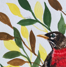 Load image into Gallery viewer, American Robin, watercolor
