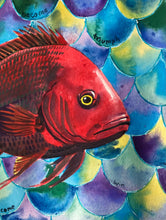 Load image into Gallery viewer, Victory, Red Snapper, Fish