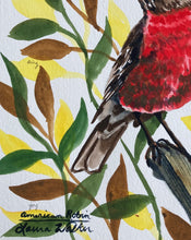 Load image into Gallery viewer, American Robin, watercolor
