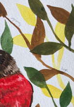 Load image into Gallery viewer, American Robin, watercolor