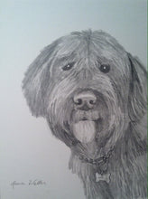 Load image into Gallery viewer, 11x14, Pet drawing, drawing from photo, pet portrait, dog, cat, drawing, pencil drawing
