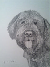 Load image into Gallery viewer, 16x20, Pet drawing, drawing from photo, pet portrait, dog, cat, drawing, pencil drawing