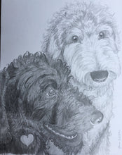 Load image into Gallery viewer, 16x20, Pet drawing, drawing from photo, pet portrait, dog, cat, drawing, pencil drawing