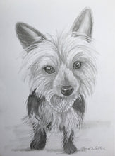 Load image into Gallery viewer, 9x12, custom sketch, from photo, dog, cat, pet portrait, drawing of my pet