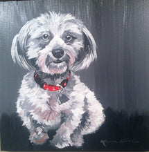 Load image into Gallery viewer, 9x12 flat acrylic Pet portrait, from photo, dog, cat, pet MM