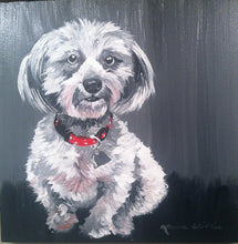 Load image into Gallery viewer, 30x40 flat acrylic, dog, cat painting, acrylic portrait