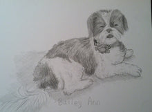 Load image into Gallery viewer, 9x12, custom sketch, from photo, dog, cat, pet portrait, drawing of my pet