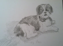 Load image into Gallery viewer, 11x14, Pet drawing, drawing from photo, pet portrait, dog, cat, drawing, pencil drawing