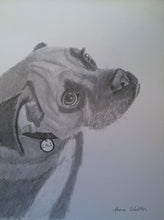 Load image into Gallery viewer, 16x20, Pet drawing, drawing from photo, pet portrait, dog, cat, drawing, pencil drawing
