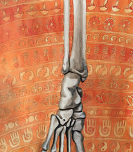 Load image into Gallery viewer, Balance, skeleton, foot