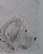 Load image into Gallery viewer, 11x14, Pet drawing, drawing from photo, pet portrait, dog, cat, drawing, pencil drawing