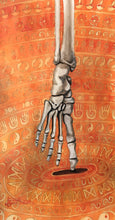 Load image into Gallery viewer, Balance, skeleton, foot
