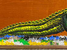 Load image into Gallery viewer, Later Gator, alligator
