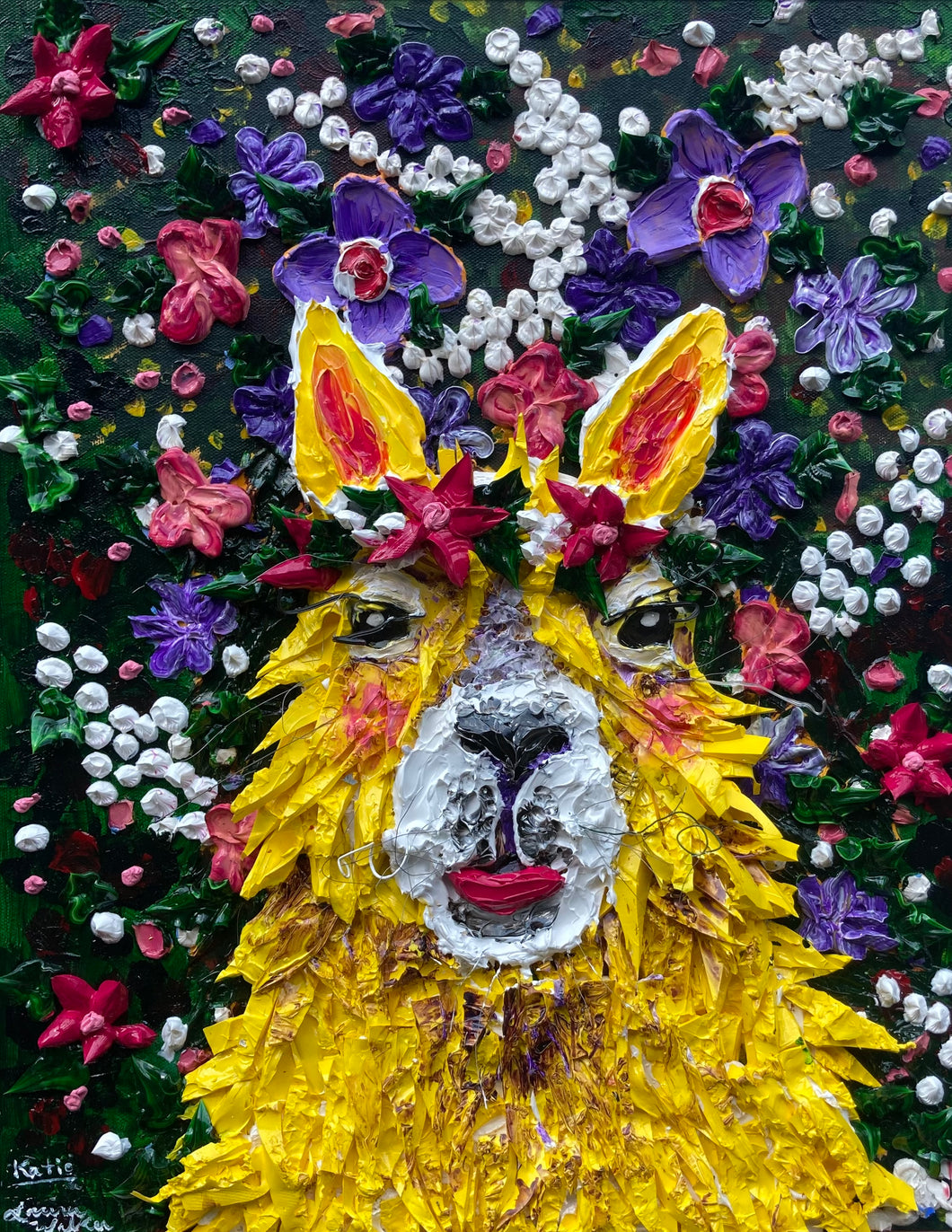 Katie, llama or alpaca