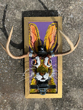Load image into Gallery viewer, Jackalope
