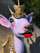 Load image into Gallery viewer, Suni, Antelope Taxidermy Sculpture
