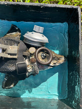 Load image into Gallery viewer, Pembleton the Shark
