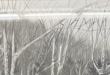 Load image into Gallery viewer, Old Tobacco Barn, Original Drawing
