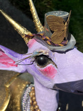 Load image into Gallery viewer, Suni, Antelope Taxidermy Sculpture
