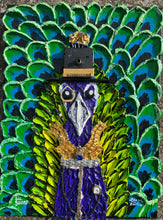 Load image into Gallery viewer, Sir Swank, Peacock
