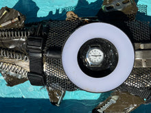 Load image into Gallery viewer, Pembleton the Shark
