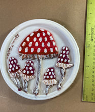 Load image into Gallery viewer, Large Red and Magenta Mushrooms
