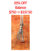 Load image into Gallery viewer, Balance, skeleton, foot
