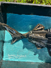 Load image into Gallery viewer, Pembleton the Shark
