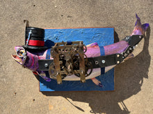 Load image into Gallery viewer, Sir Finnius Finnegan, fish
