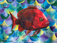 Load image into Gallery viewer, Victory, Red Snapper, Fish
