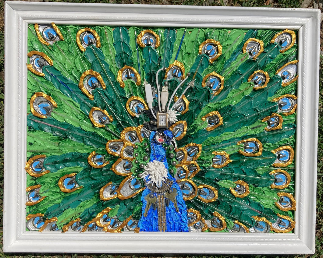 Luscious Lad, Peacock