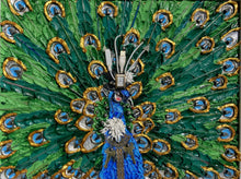 Load image into Gallery viewer, Luscious Lad, Peacock
