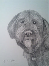 Load image into Gallery viewer, 16x20, Pet drawing, drawing from photo, pet portrait, dog, cat, drawing, pencil drawing
