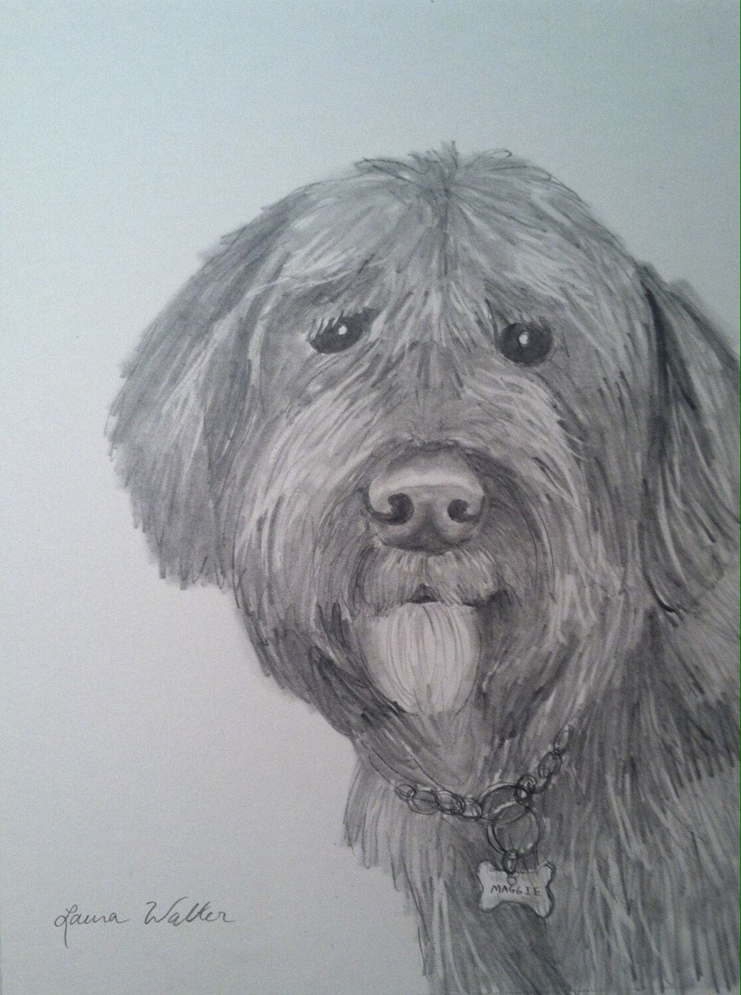 16x20, Pet drawing, drawing from photo, pet portrait, dog, cat, drawing, pencil drawing