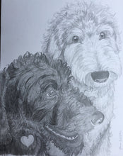 Load image into Gallery viewer, 11x14, Pet drawing, drawing from photo, pet portrait, dog, cat, drawing, pencil drawing
