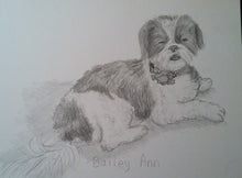 Load image into Gallery viewer, 11x14, Pet drawing, drawing from photo, pet portrait, dog, cat, drawing, pencil drawing

