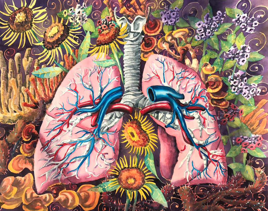 Lungs, Forgiveness